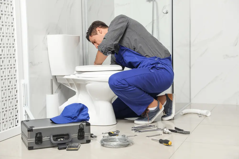 Toilet Installation in Millsboro